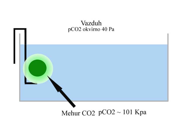 www.beke.co.nz/slike/mba/co2.jpg