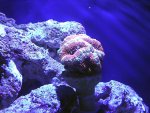 newled08.jpg newled08.jpg
