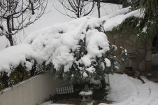 zima 1.jpg zima 1.jpg