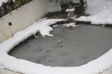 zima 2.jpg zima 2.jpg