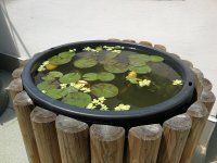 IMG_20220612_120004.jpg IMG_20220612_120004.jpg