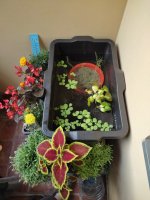 0-02-05-7fd01c068f1f00205417bea4de36103b800e77702db157151e666be72608851e_f3cf67f9bc8e906e.jpg 0-02-05-7fd01c068f1f00205417bea4de36103b800e77702db157151e666be72608851e_f3cf67f9bc8e906e.jpg