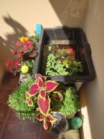 0-02-05-eacd8c6c8719f4af986b1cb9e7060999555a18e36ab42353de7b199fecdff88e_32a064788d878965.jpg 0-02-05-eacd8c6c8719f4af986b1cb9e7060999555a18e36ab42353de7b199fecdff88e_32a064788d878965.jpg