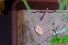 0-02-05-8c4371875be7cf34f519a146ea64fec6025e3ff2923e494cd80bf5ebc7c936a6_efbe8711884cb7e1.jpg 0-02-05-8c4371875be7cf34f519a146ea64fec6025e3ff2923e494cd80bf5ebc7c936a6_efbe8711884cb7e1.jpg