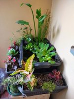 viber_image_2025-06-17_20-02-46-659.jpg viber_image_2025-06-17_20-02-46-659.jpg