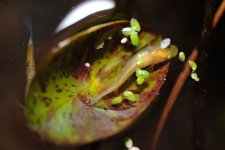 viber_image_2025-06-17_20-02-46-805.jpg viber_image_2025-06-17_20-02-46-805.jpg