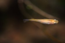 viber_image_2025-06-17_20-02-46-906.jpg viber_image_2025-06-17_20-02-46-906.jpg