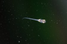 mikro makro.jpg mikro makro.jpg