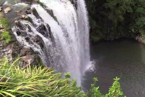 Far north tour - Otuihau Whangarei Falls