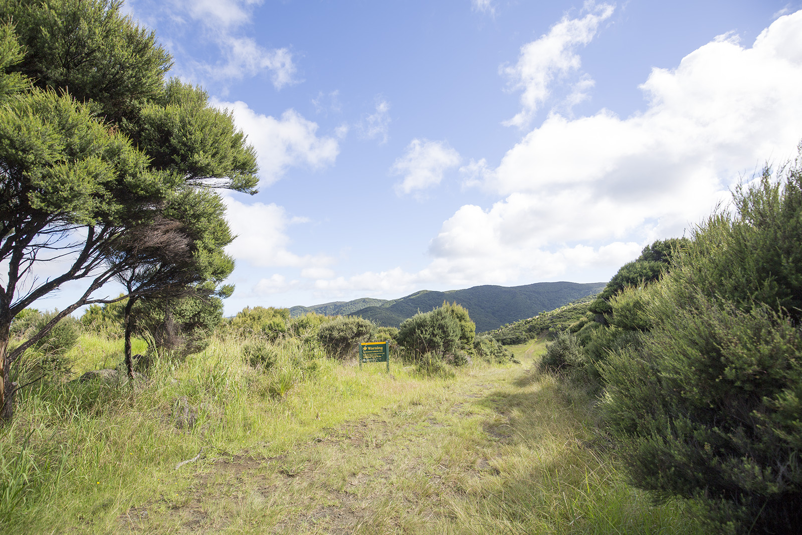 Cape Reinga Road