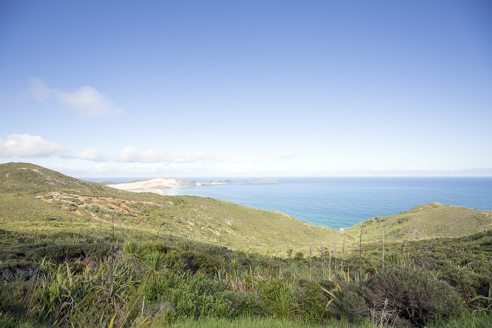 Cape Reinga