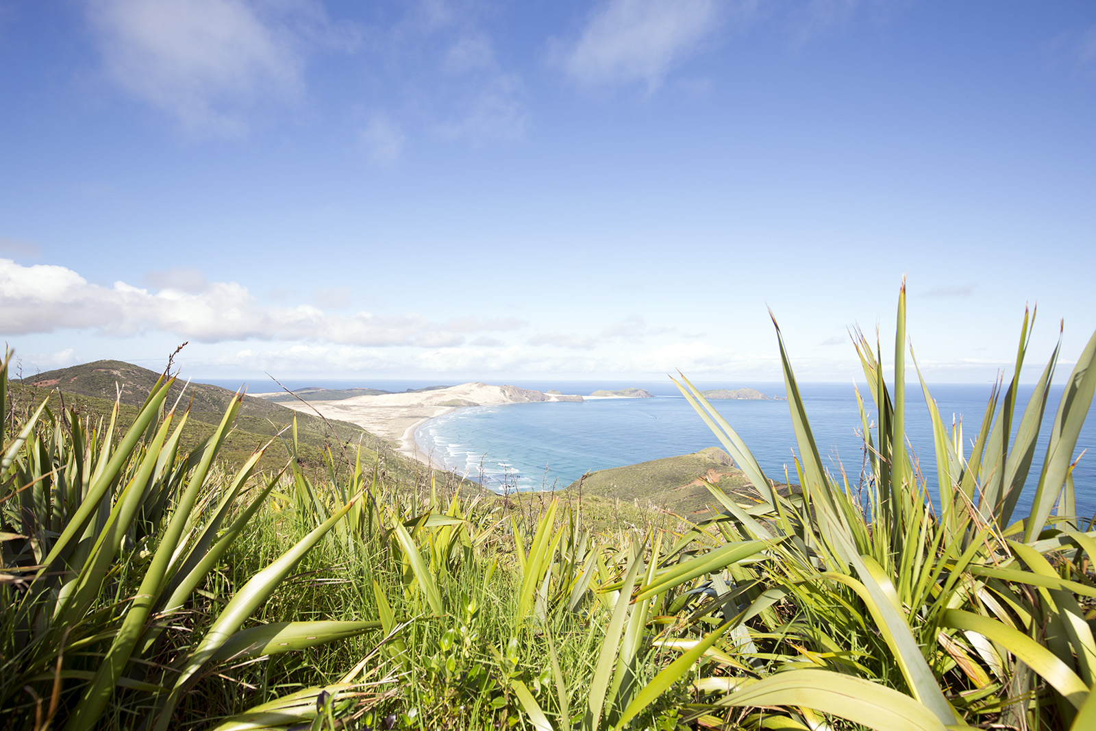 Cape Reinga