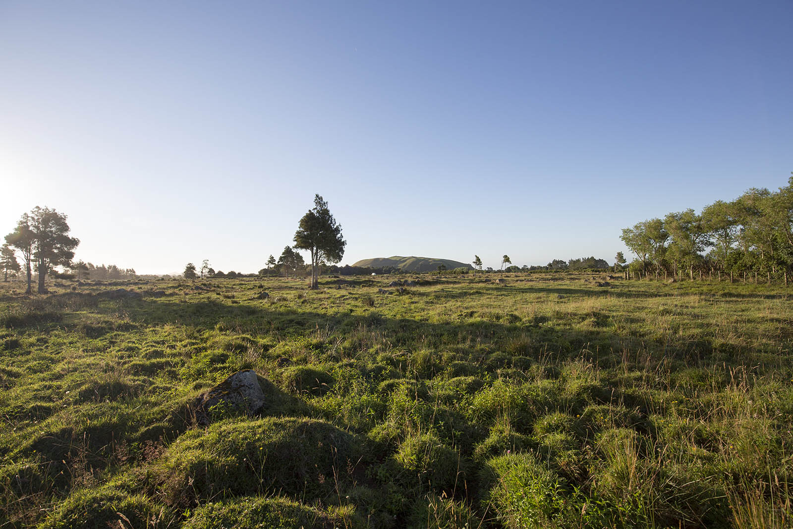 Countryside