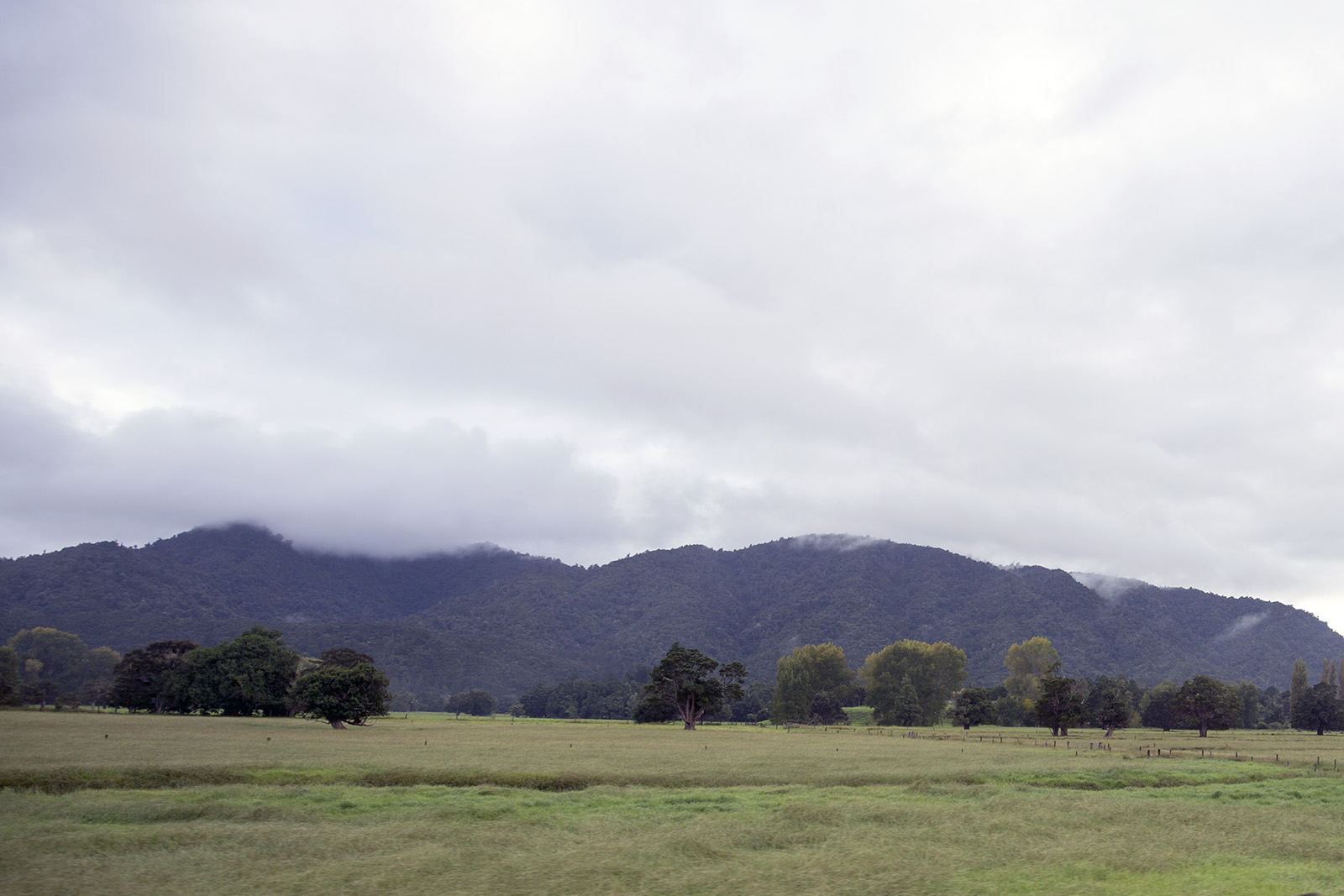 Kaitaia