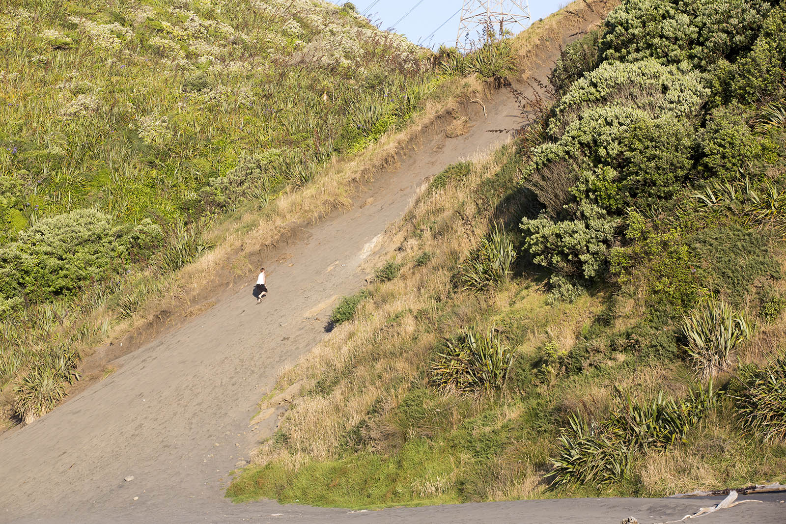 New Plymouth Back Beach