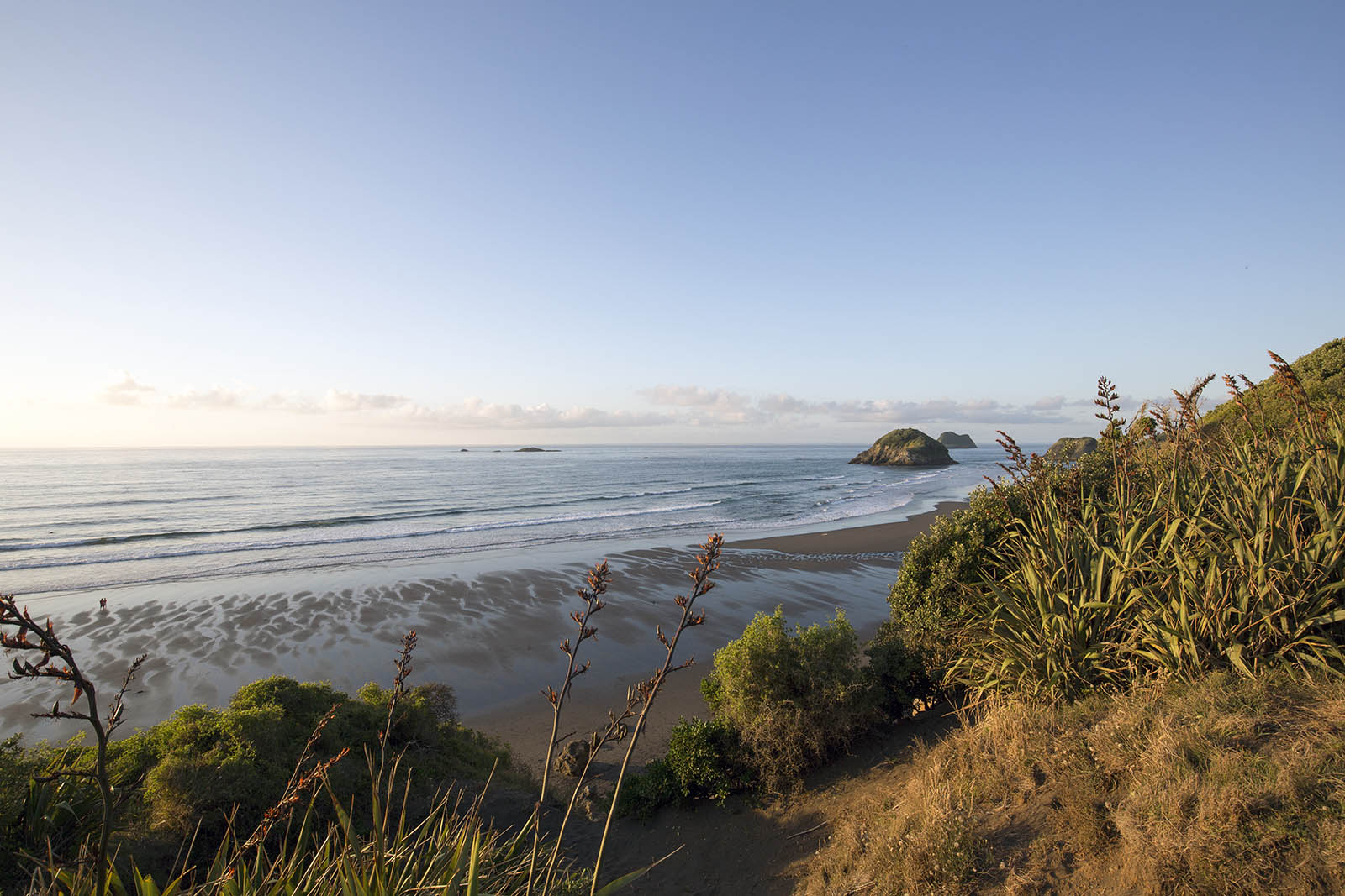 New Plymouth Back Beach