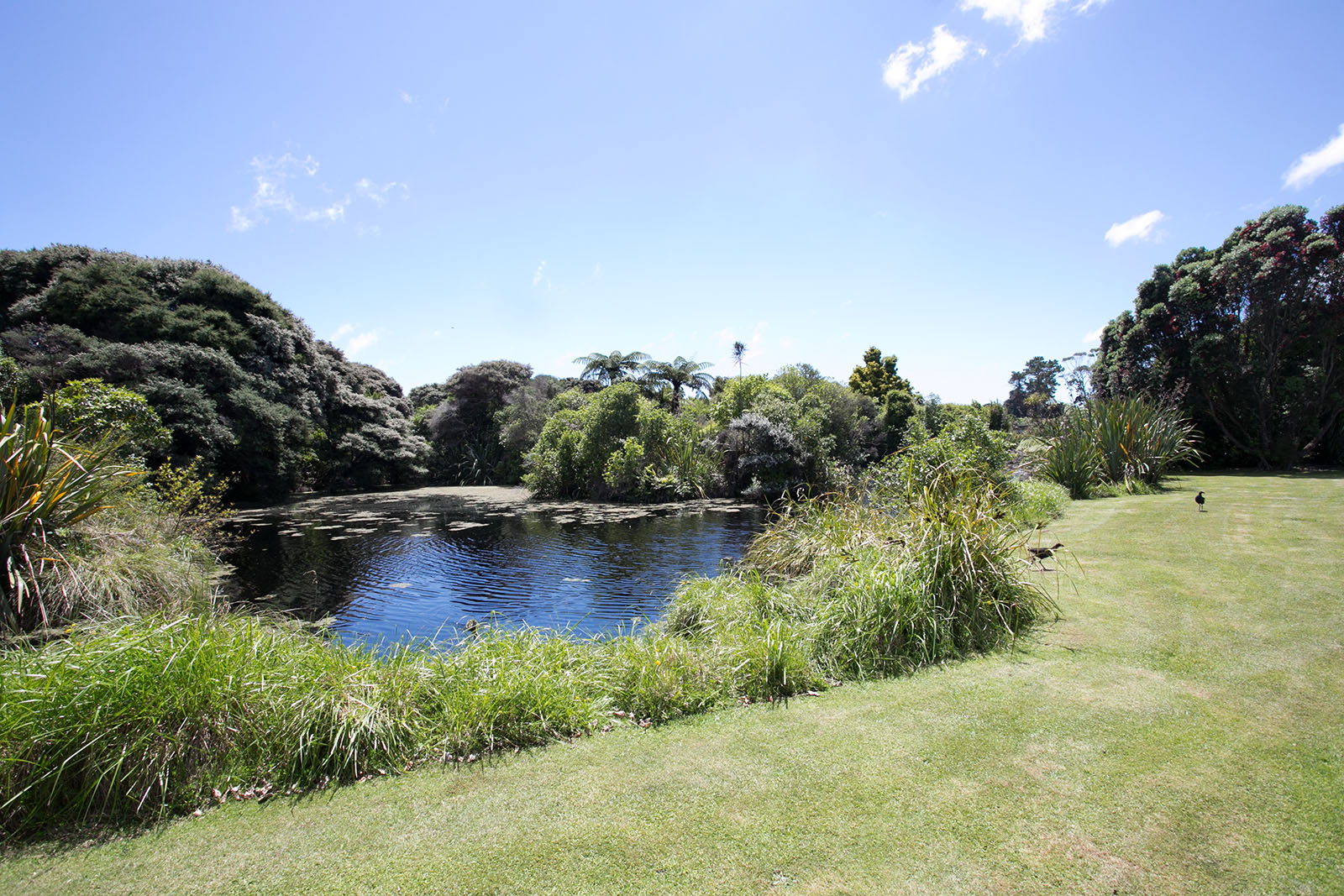 Nga Manu Nature Reserve