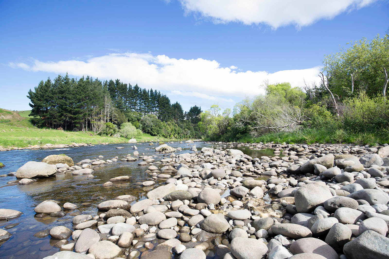 Waiwhakaiho River