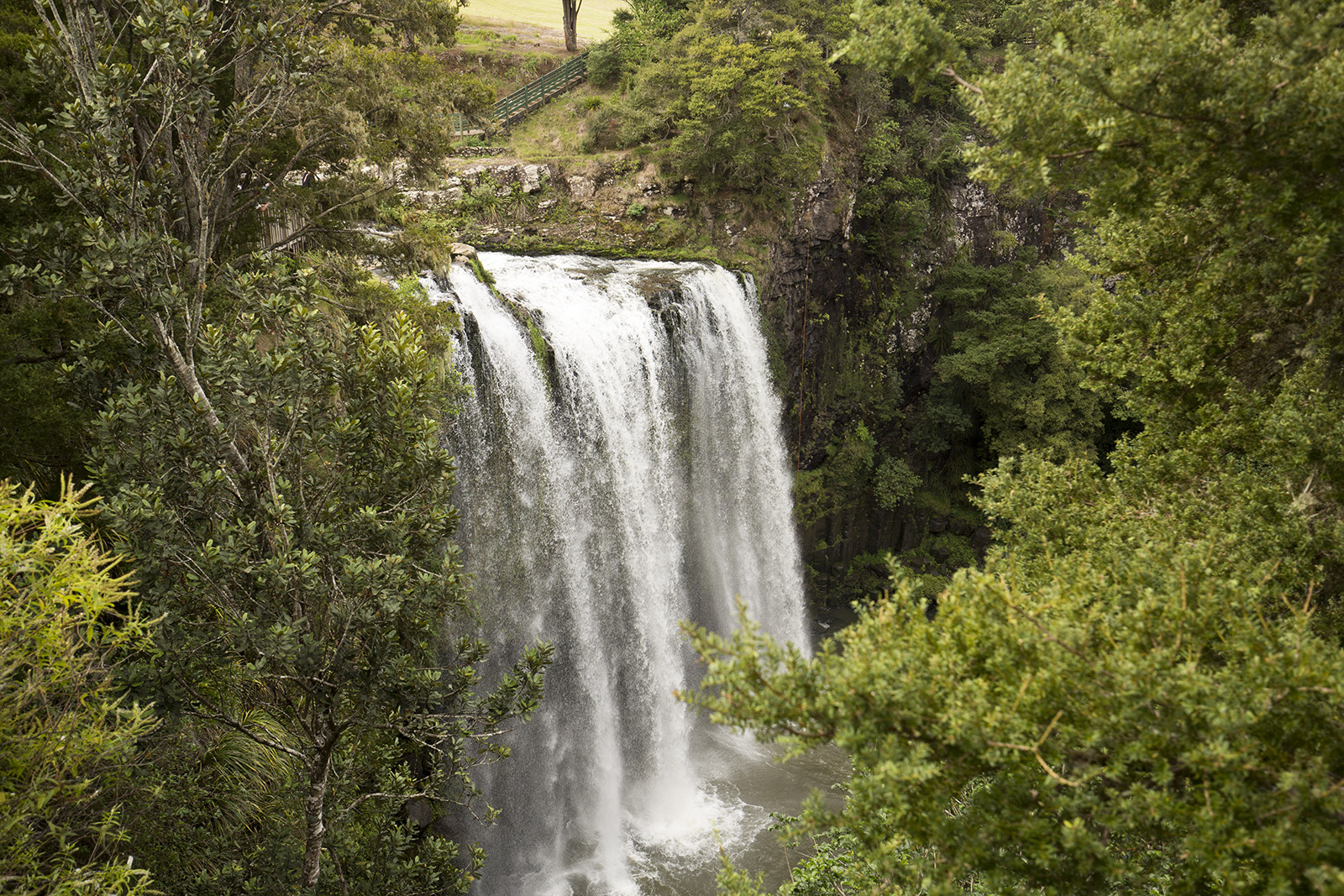 Whangarei Falls