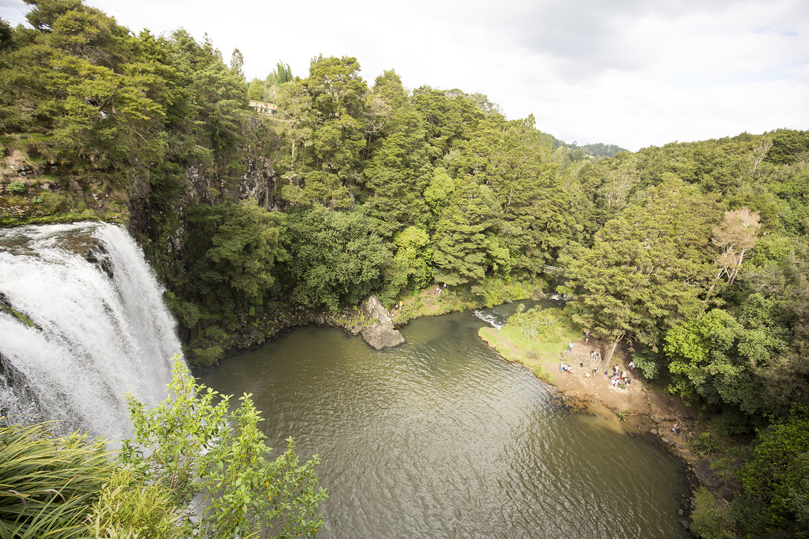 Whangarei Falls