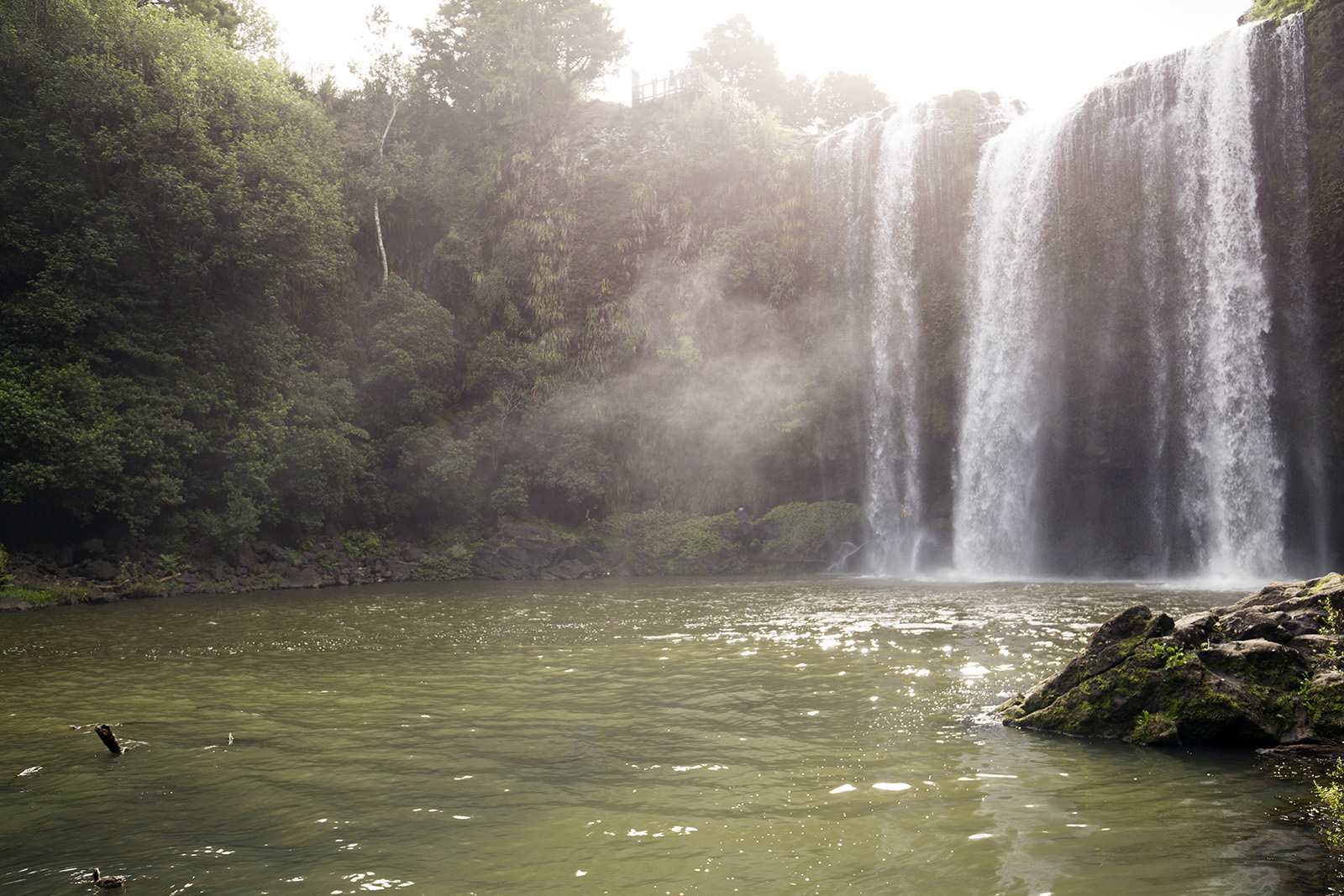 Whangarei Falls