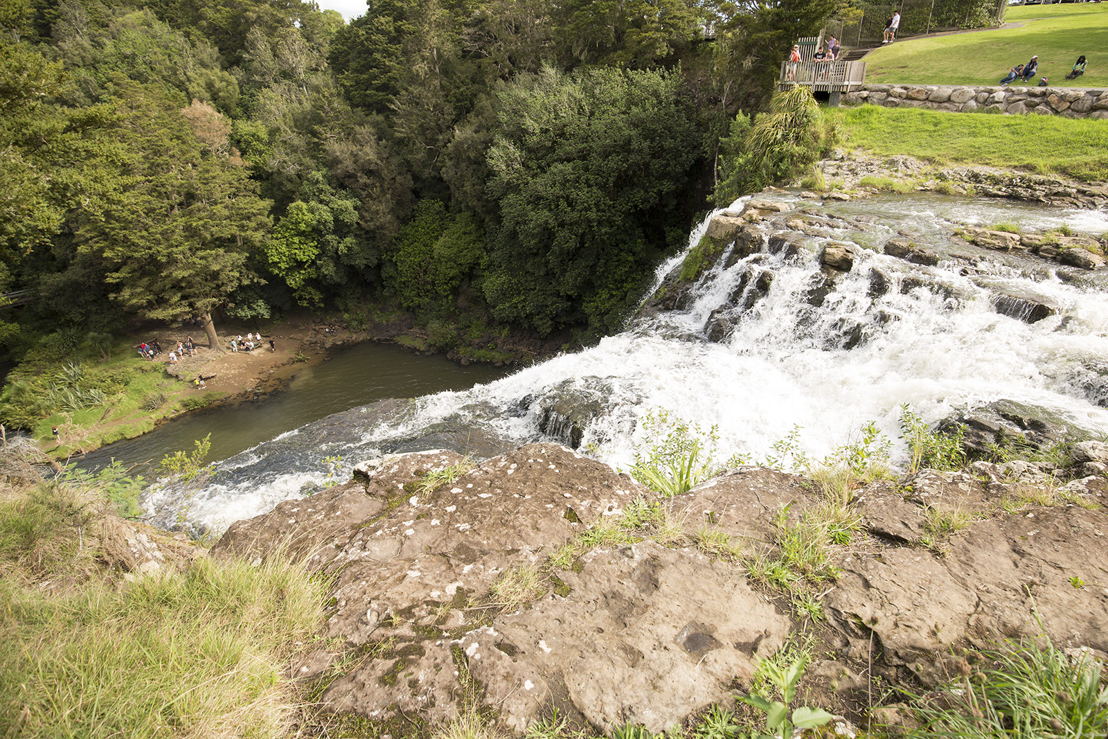 Whangarei Falls