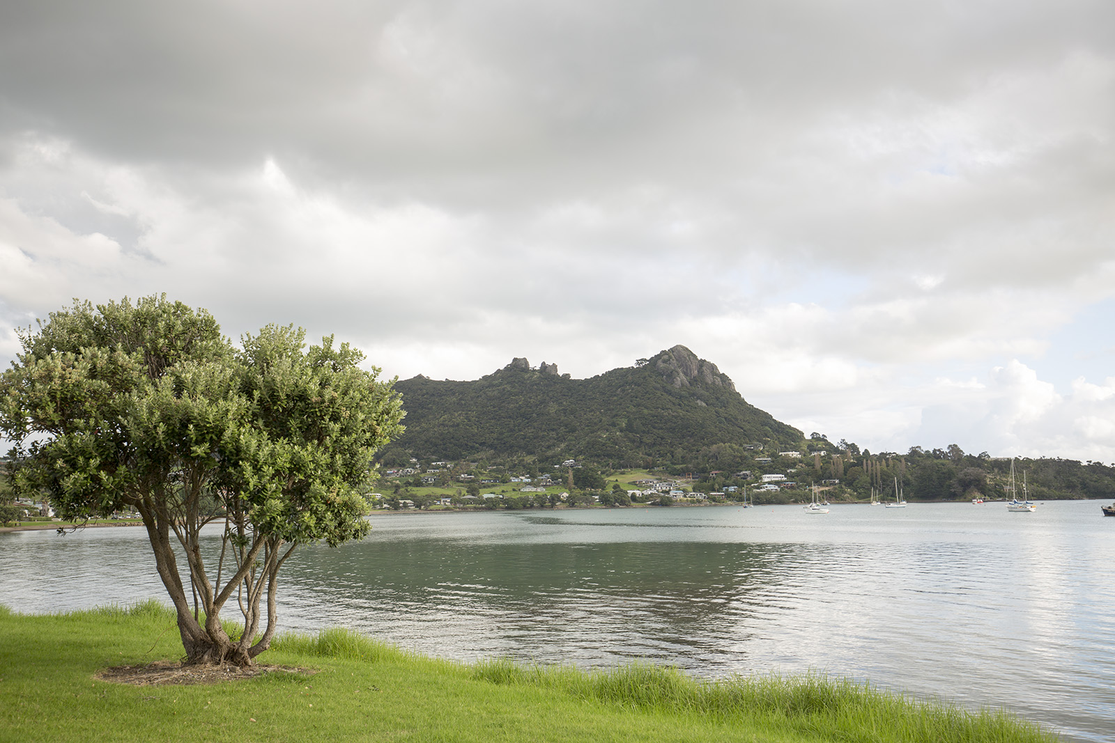 Whangarei Heads Road