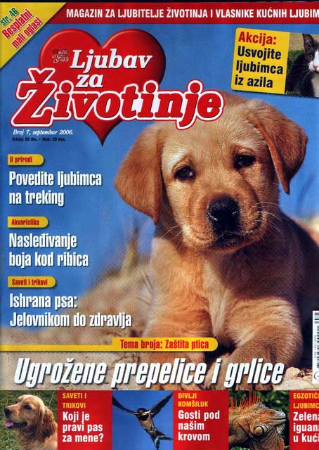 zoo_magaz11.jpg